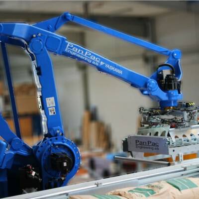 Robotic palletizing of bags, boxes and buckets