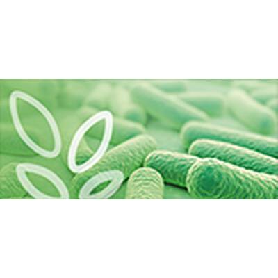 (in German) Bioökonomie und Biotechnologie