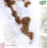 Key role for Malvern Zetasizer Nano at Cornell University 