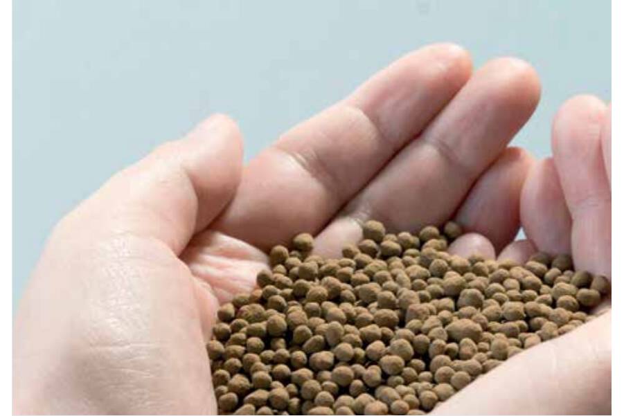 Hochleistungsdünger aus Klärschlammasche 