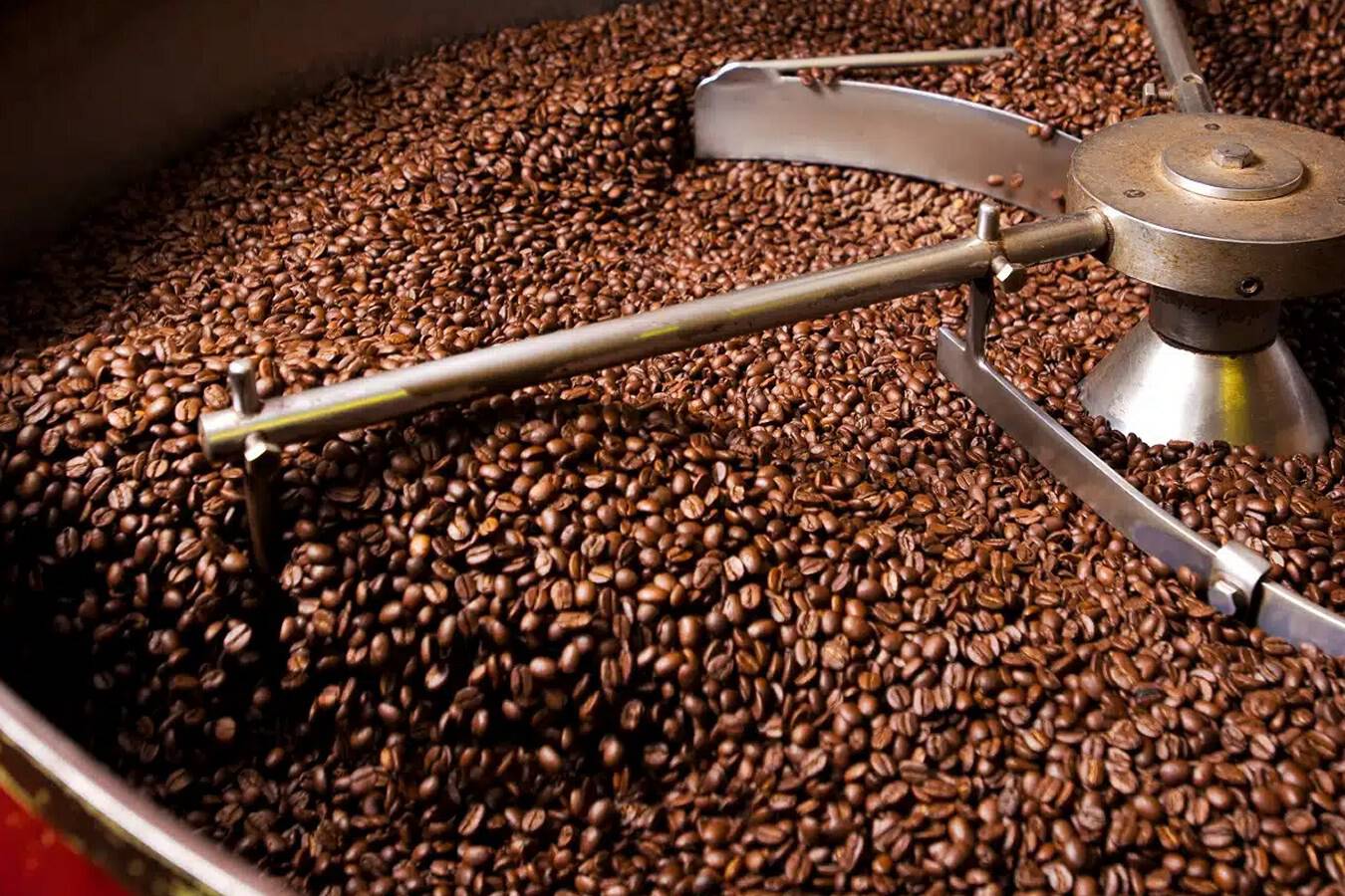 Coffee beans being processed