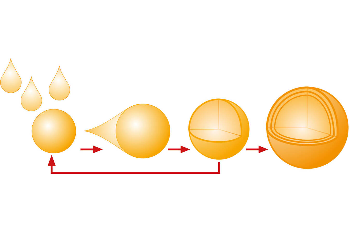 Fig.1: Structure principle of spray granulated particles with onion structure