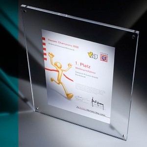 Schenck Process are the `Hessen-Champions 2008` Recognised as a world market leader by the Hesse Ministry of Economics