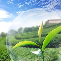 Webinar | Powder Processing in Agrochemicals Thursday, February 26th @ 14:00 CET