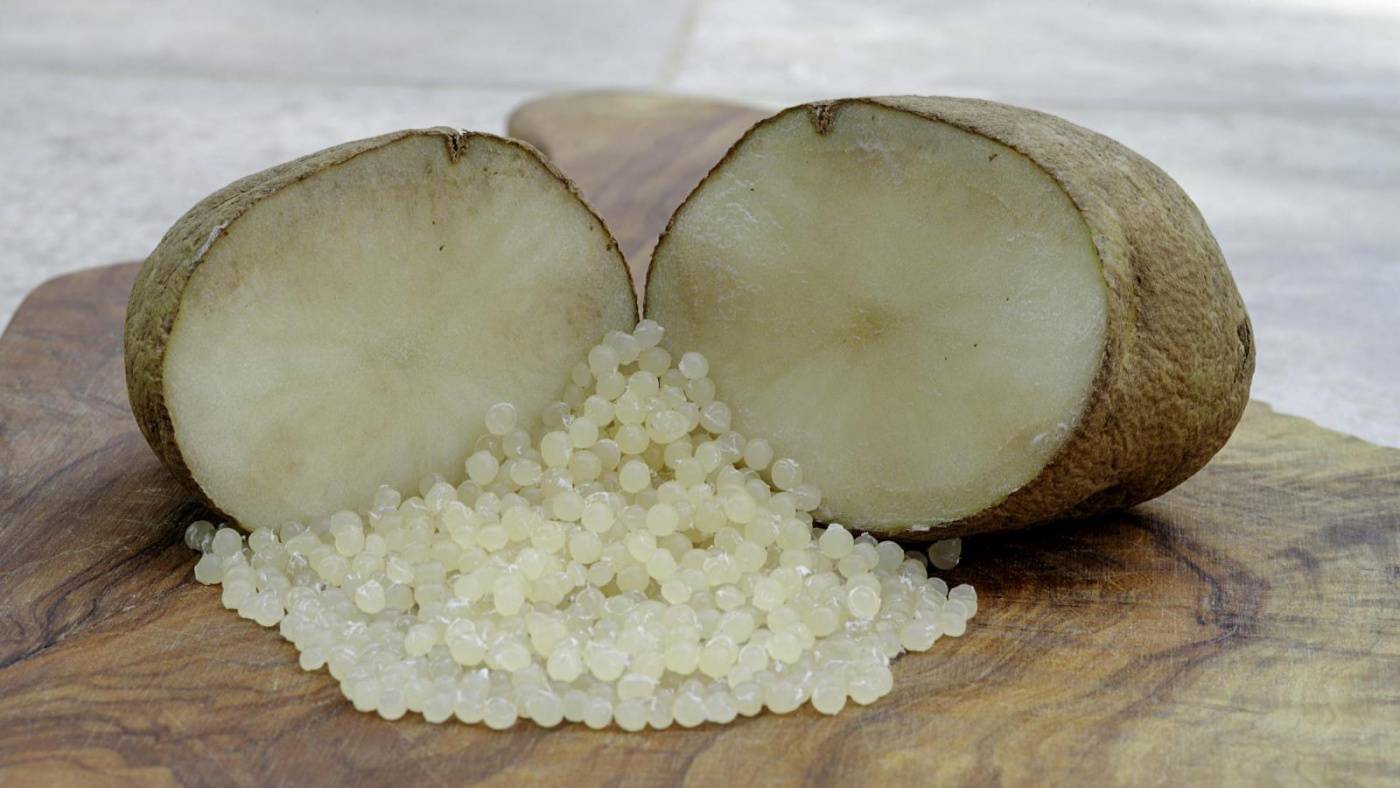 AZO: Sustainable Solutions for the plastics industry Expert handling of demanding