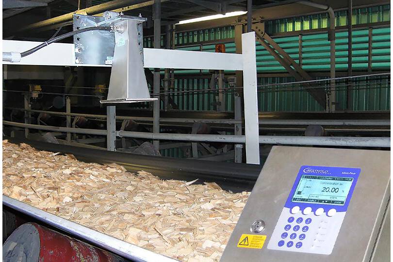 Moisture of wood chips 