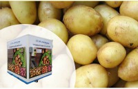 SYSTEC WEIGHING TECHNOLOGY IN POTATOE Vending machine 