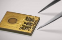 VEGA participates in chip start-up