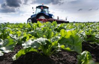 Up-to-date Eurosilo technology for sugar storage