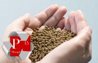Striving for efficient phosphorus recycling solutions