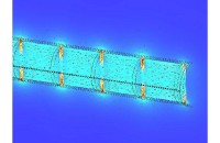 Goudsmit Magnetics Leverages FEM to Optimize Separation