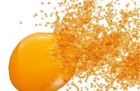 Increasing the Bioavailability of Active Ingredients